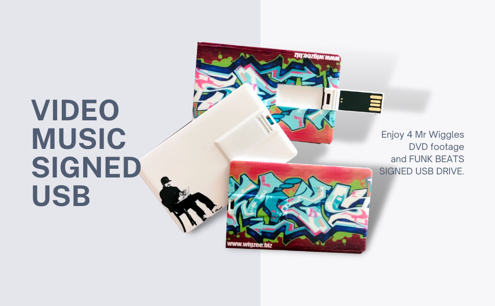 mr wiggles usb video drive
