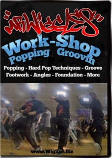 mr wiggles ground move dvd